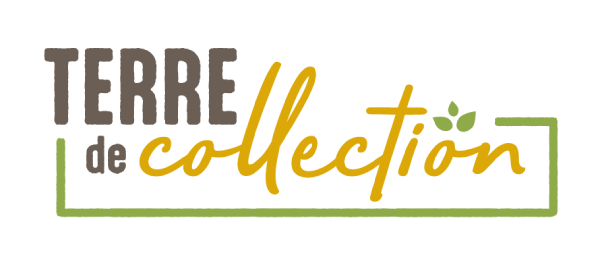 Logo Terre de collection